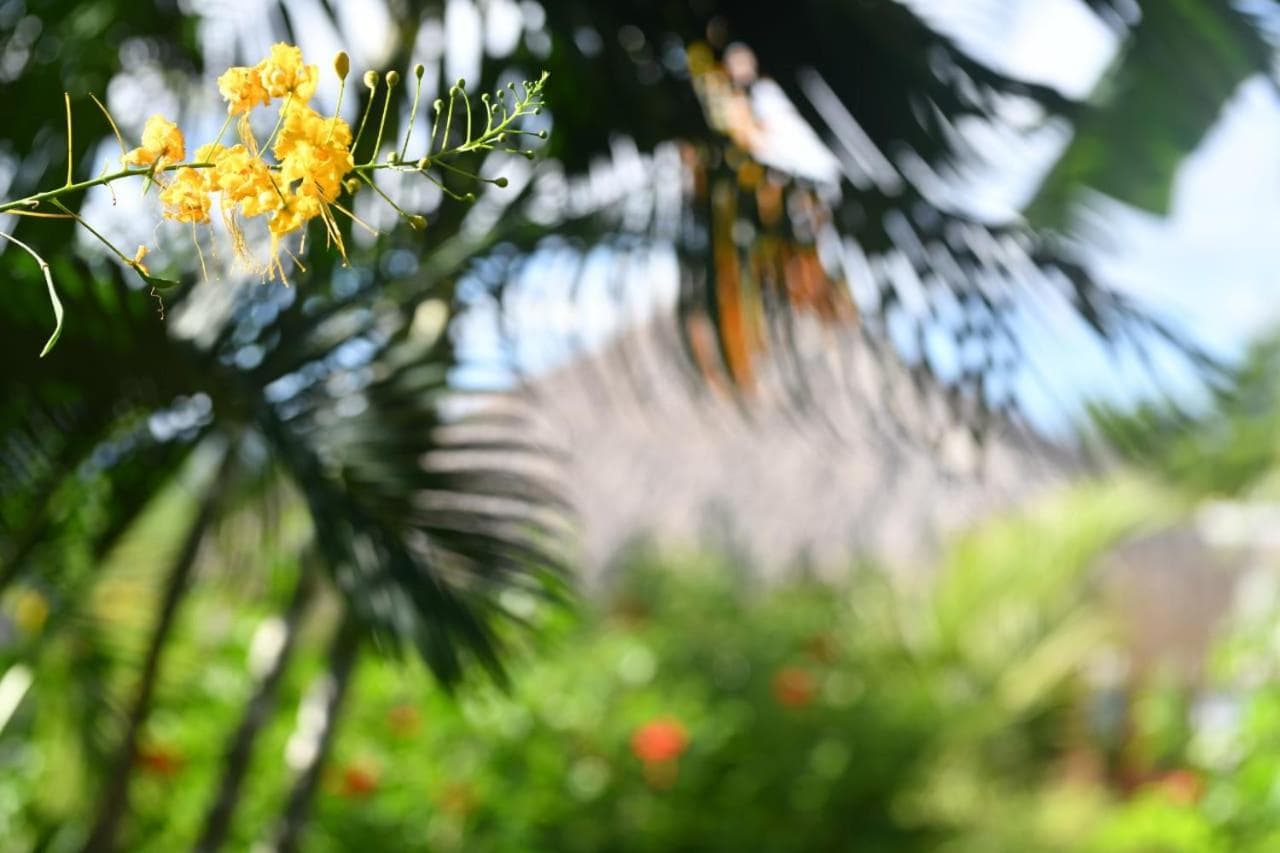 Hôtel Iloma - Photo 23