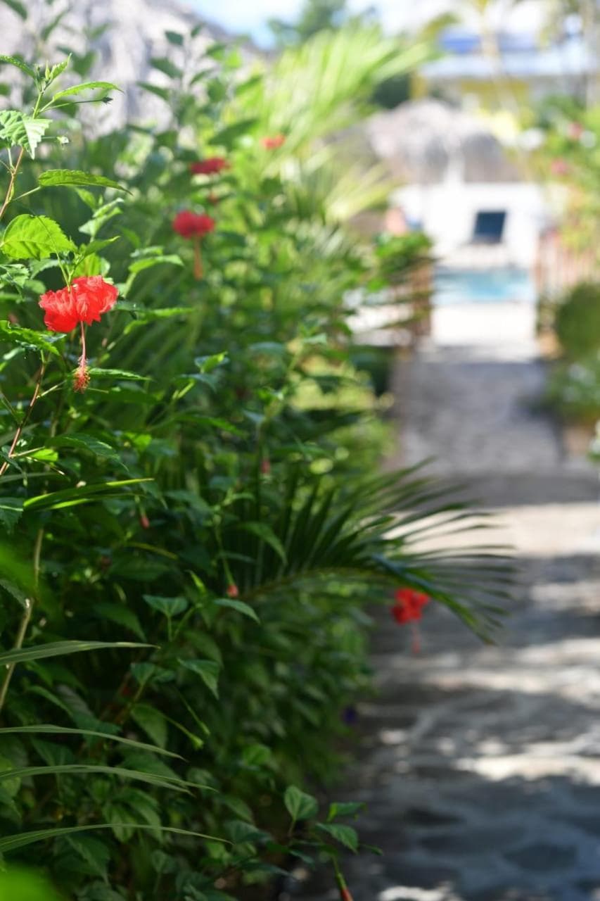 Hôtel Iloma - Photo 24