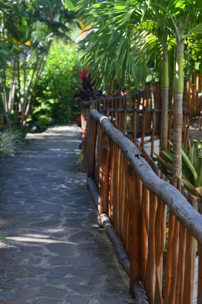 Hôtel Iloma - Photo 25