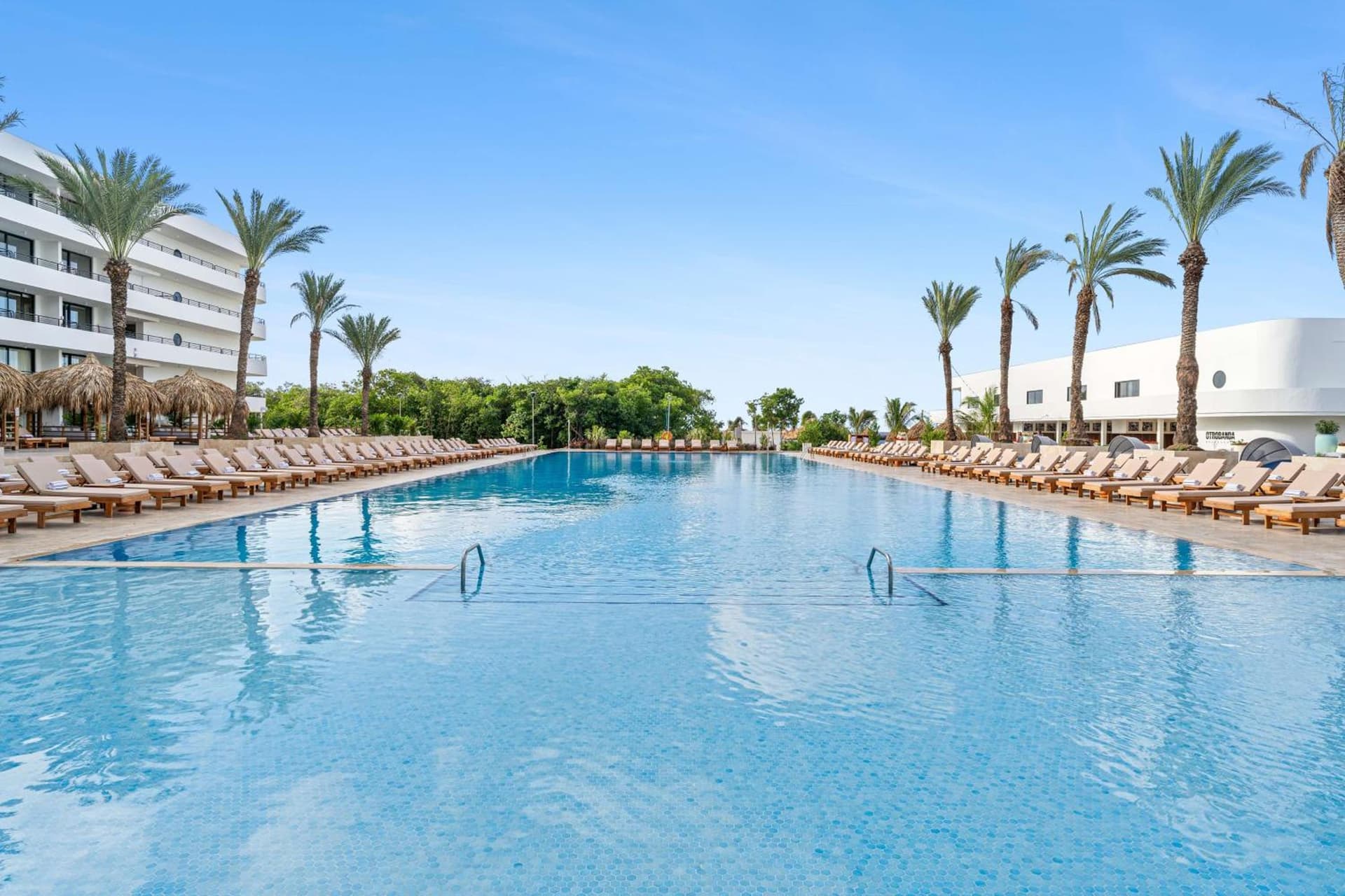 The Rif At Mangrove Beach Corendon Curacao All-Inclusive, Curio by Hilton - Photo 51