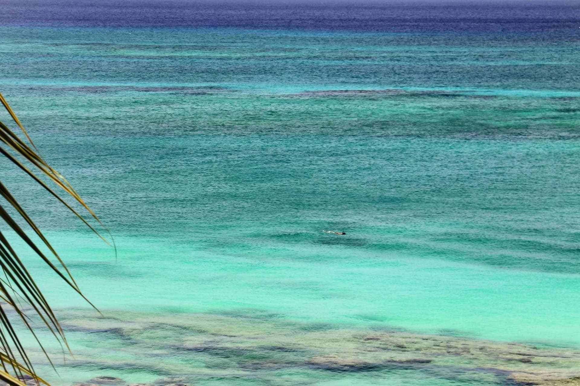 Grand Cayman Marriott Resort - Photo 60