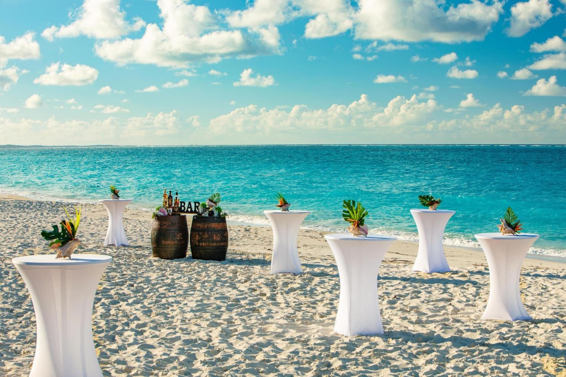 The Ritz-Carlton, Turks & Caicos - Photo 80