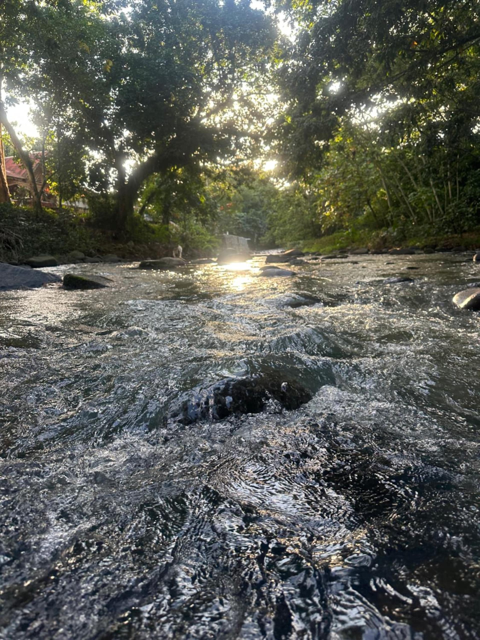 Villa Campestre en Bonao - Photo 37