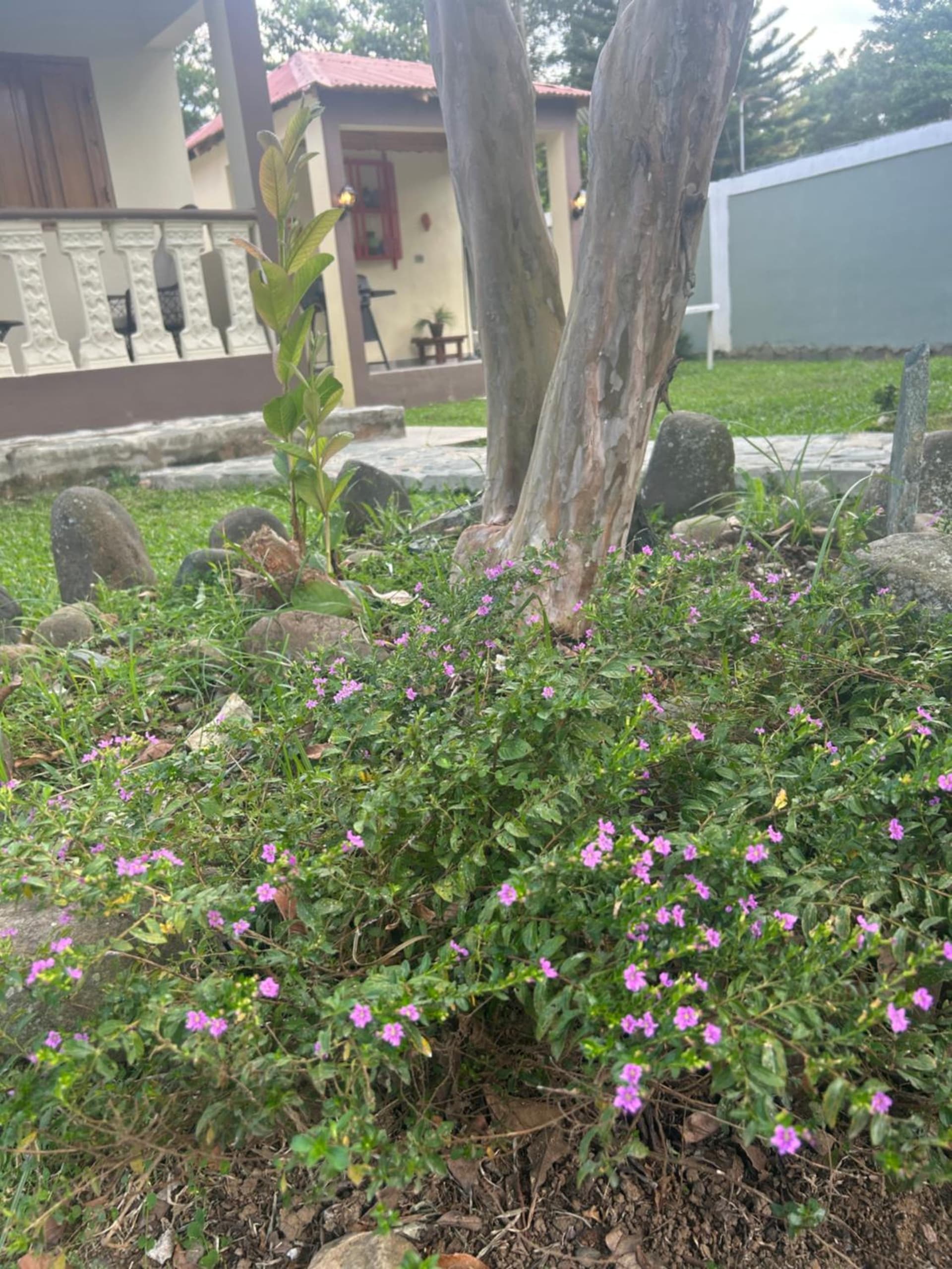 Villa Campestre en Bonao - Photo 50