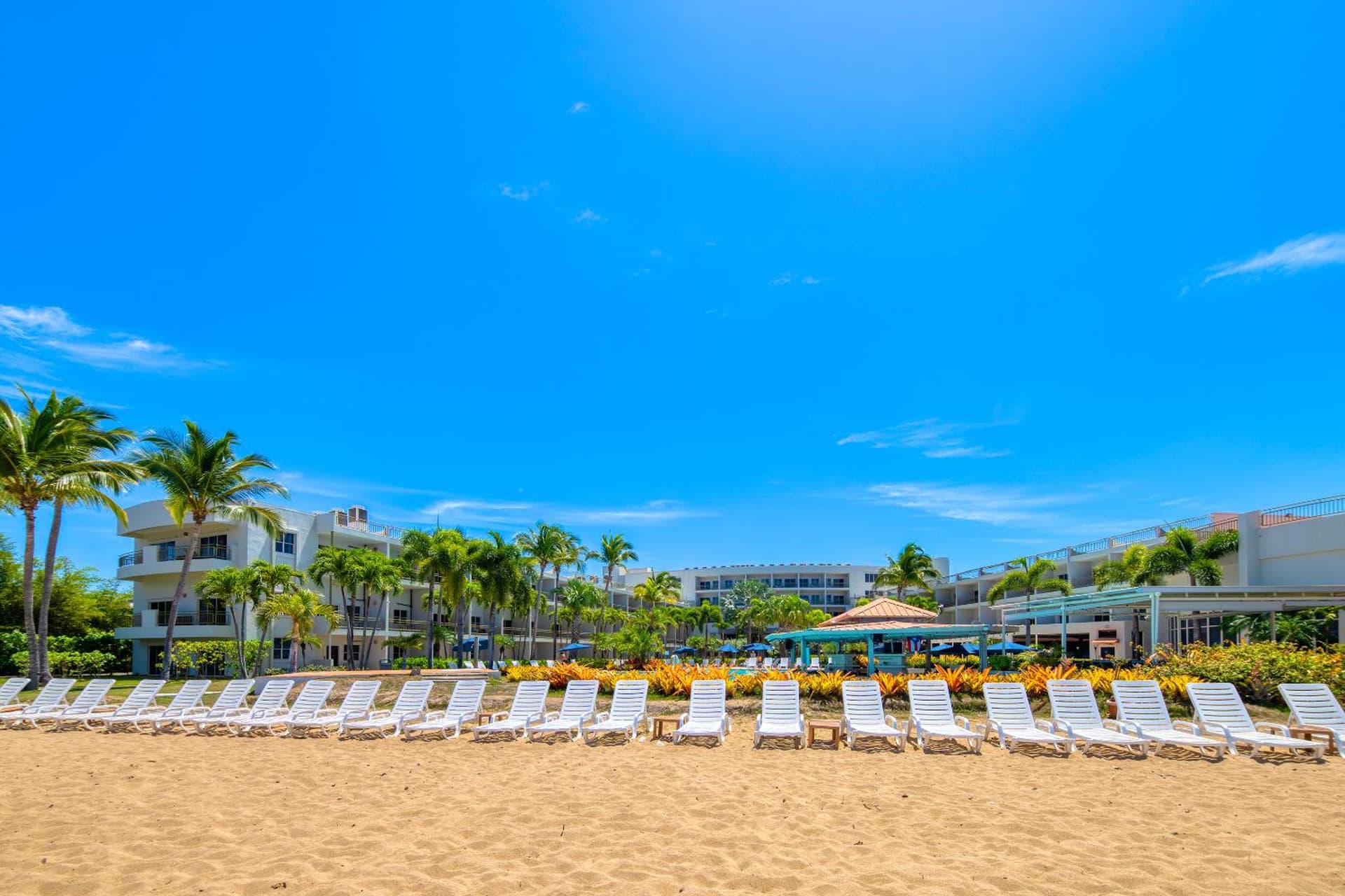 Rincon of the Seas Grand Caribbean Hotel - Photo 105