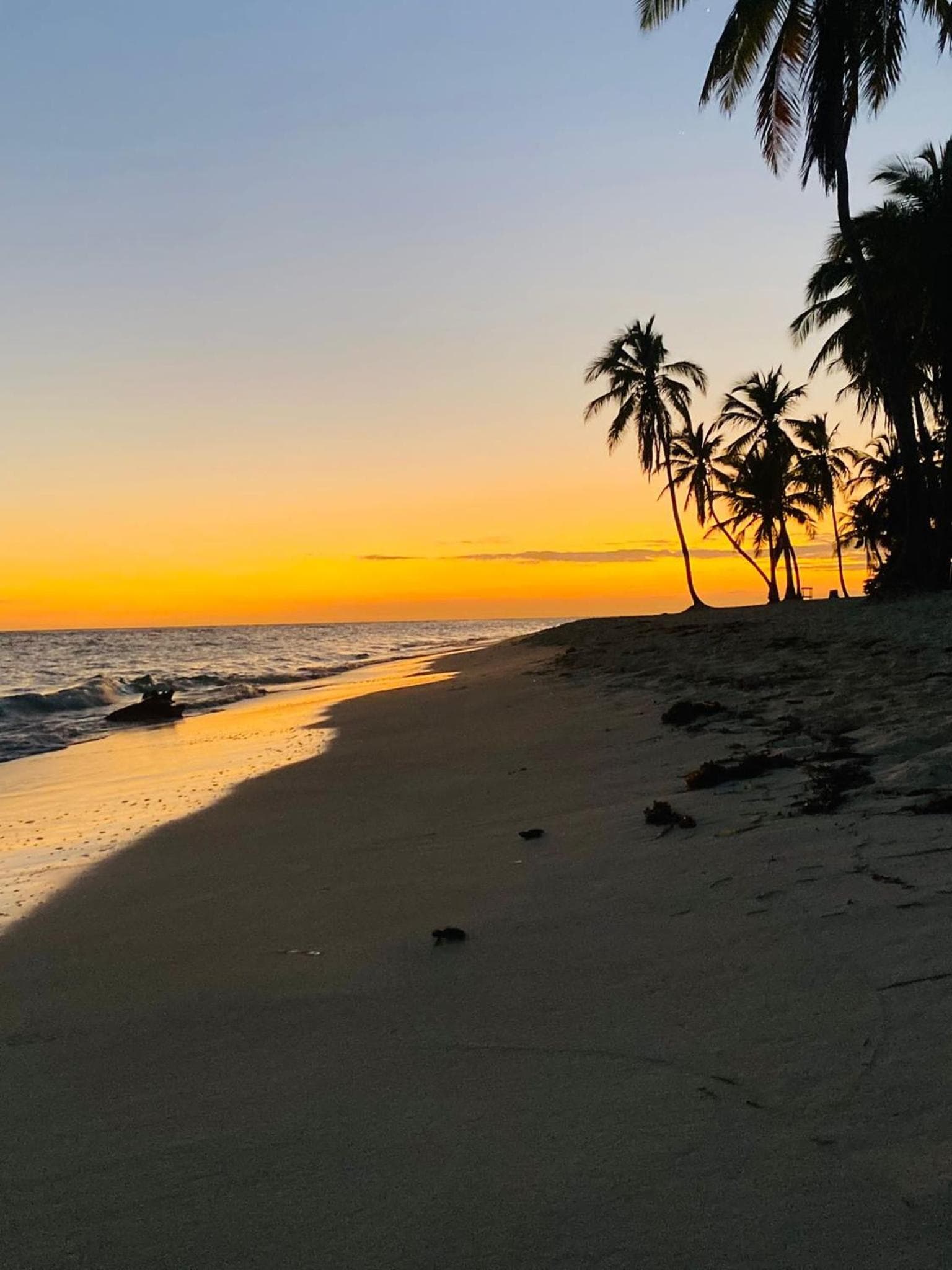 Casa Rural El Paraíso de Saona - Photo 16