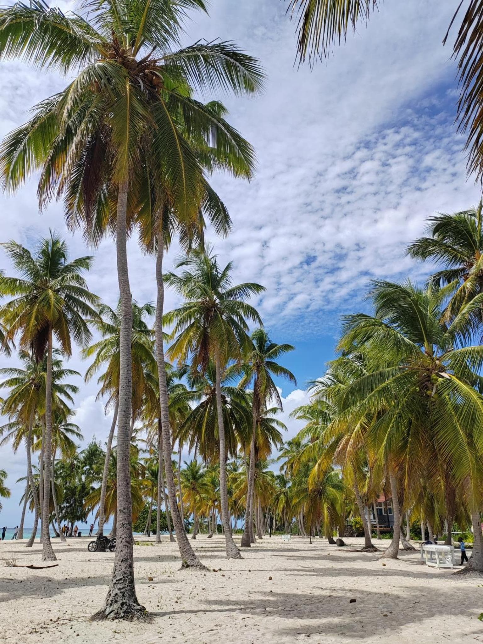 Casa Rural El Paraíso de Saona - Photo 20