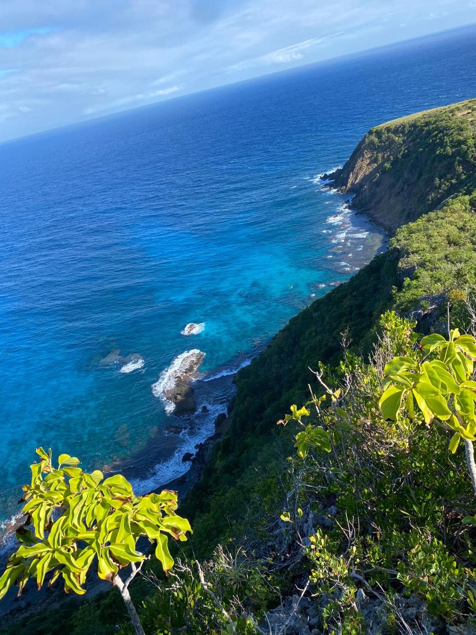 KARIFUNA-II - Photo 17