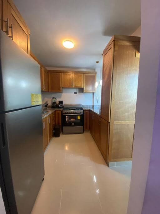 Luxury Penthouse Santo Domingo W - Photo 6