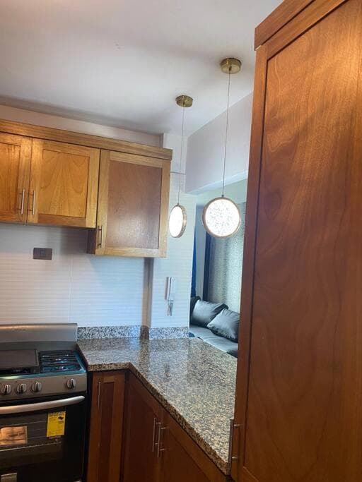 Luxury Penthouse Santo Domingo W - Photo 28