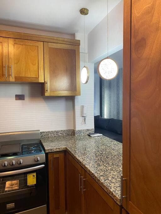 Luxury Penthouse Santo Domingo W - Photo 53