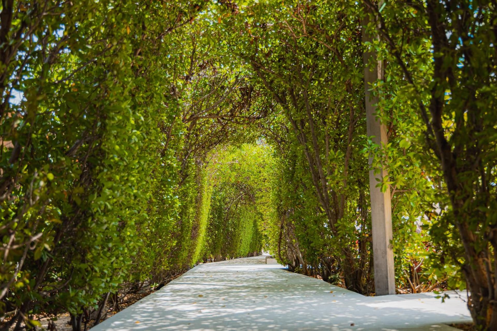 Radisson Blu Aruba - Photo 87