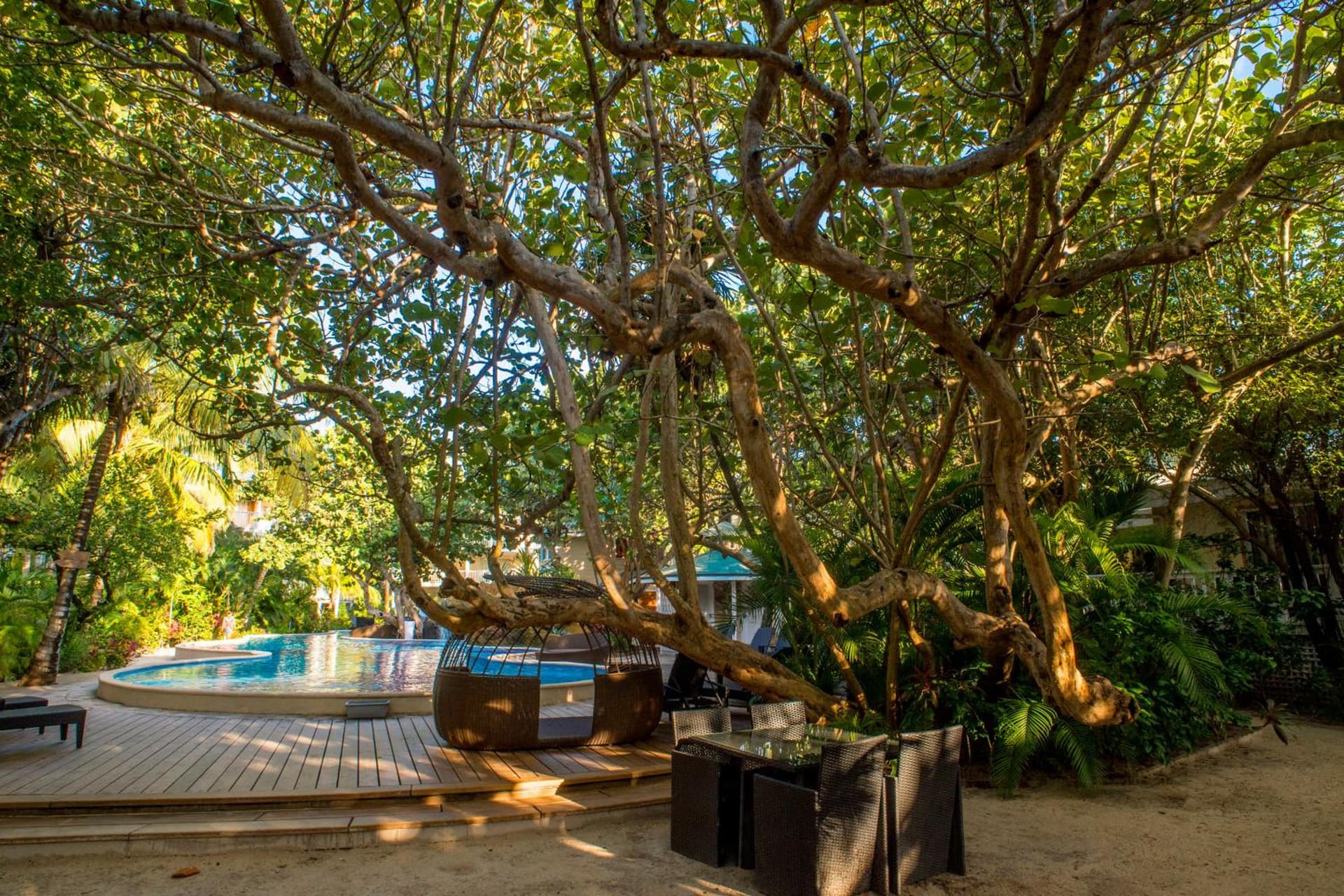 Paradise Beach Resort & Dive Center - Photo 38