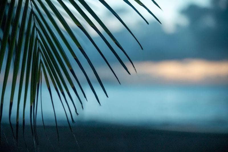 Wyndham Palmas Beach and Golf Boutique Resort - Photo 130