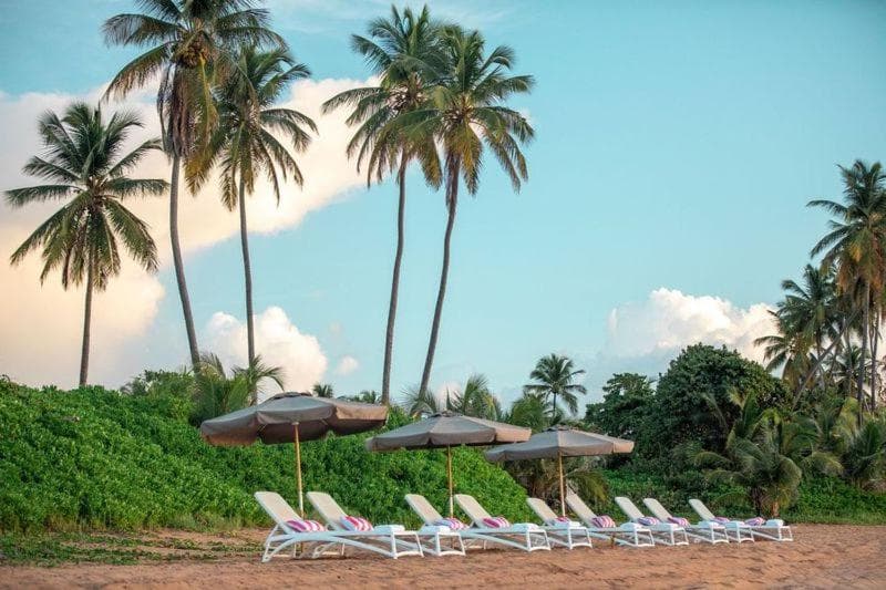 Wyndham Palmas Beach and Golf Boutique Resort - Photo 137