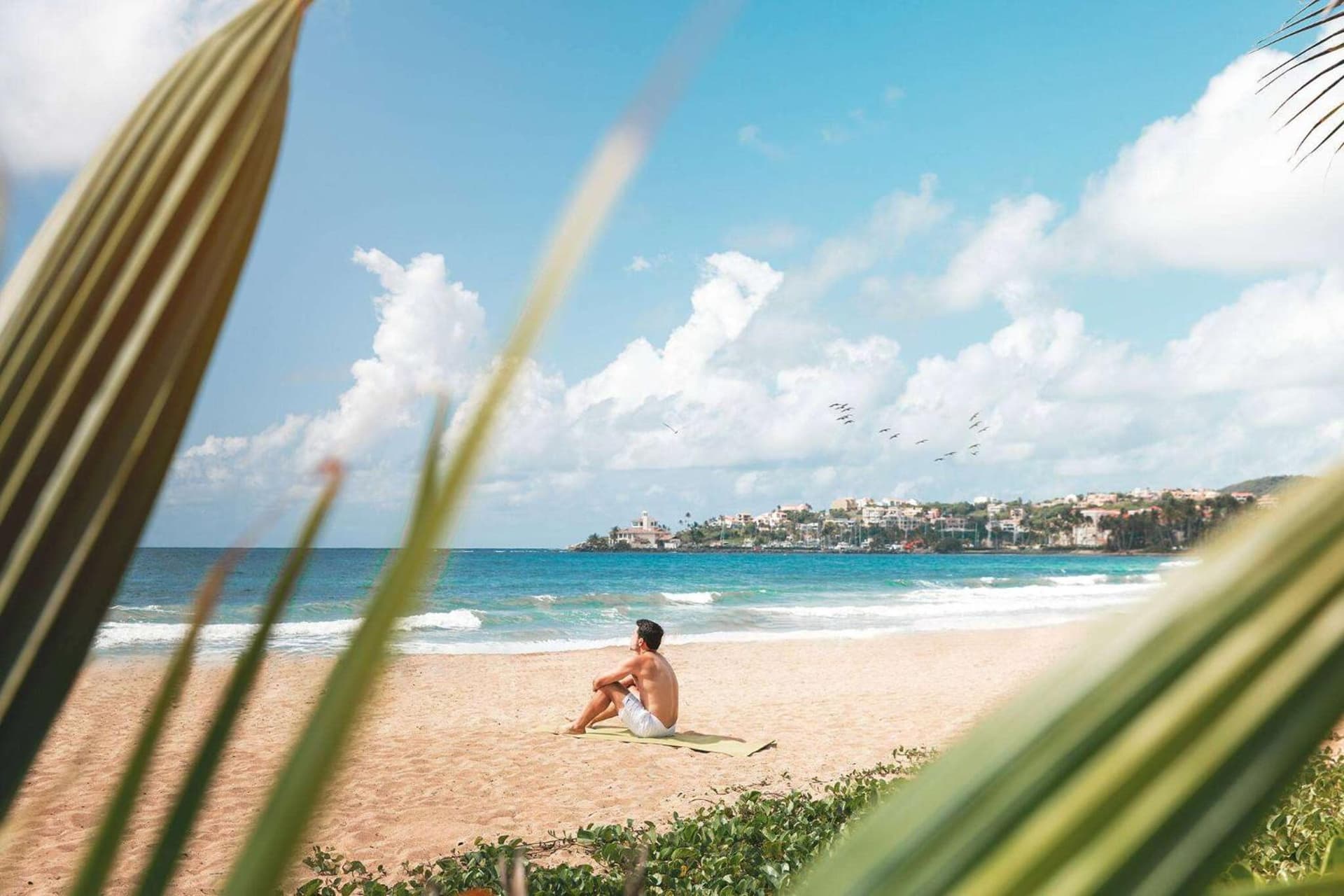 Wyndham Palmas Beach and Golf Boutique Resort - Photo 87