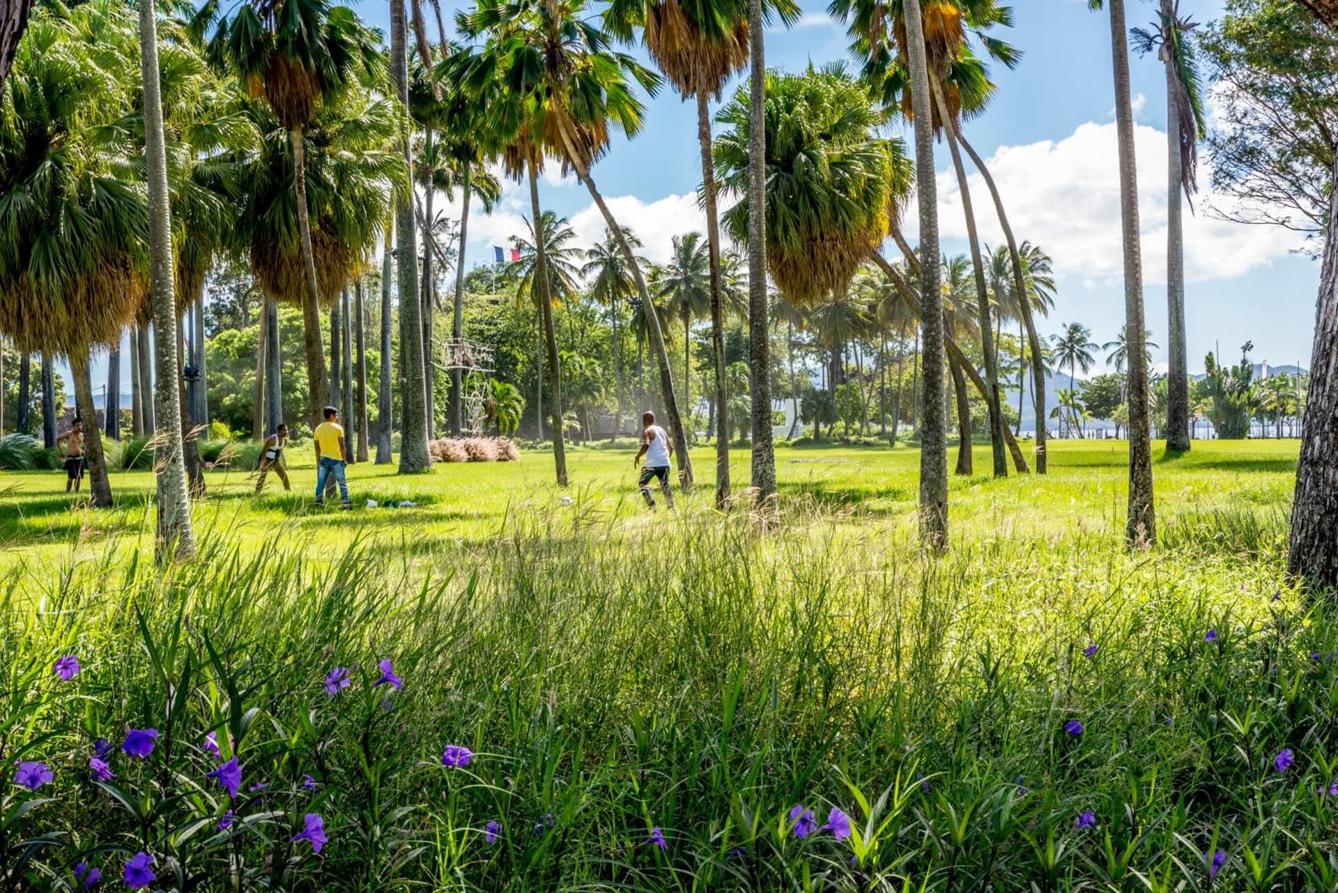 Residence Fort Savane - Photo 30