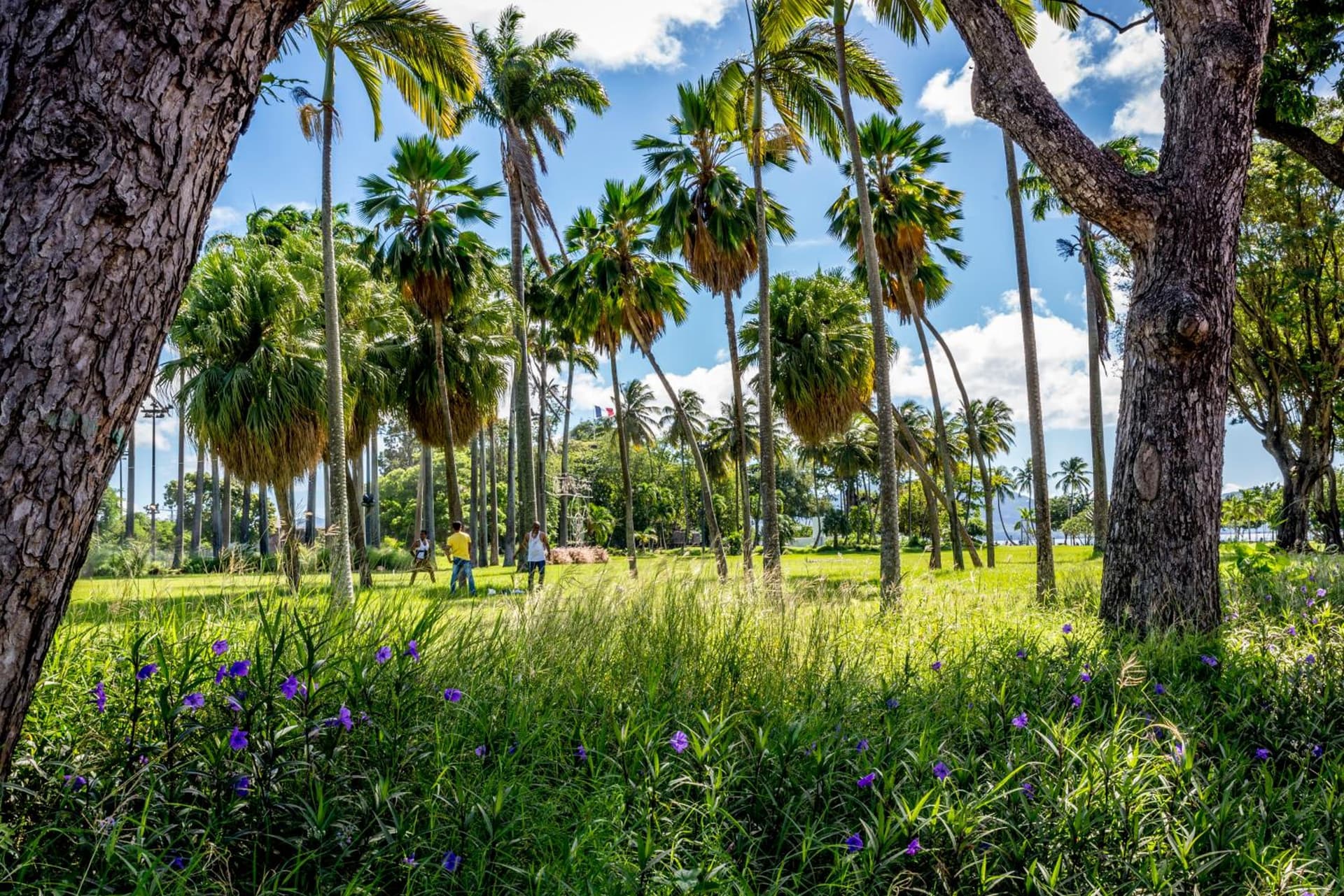 Residence Fort Savane - Photo 35