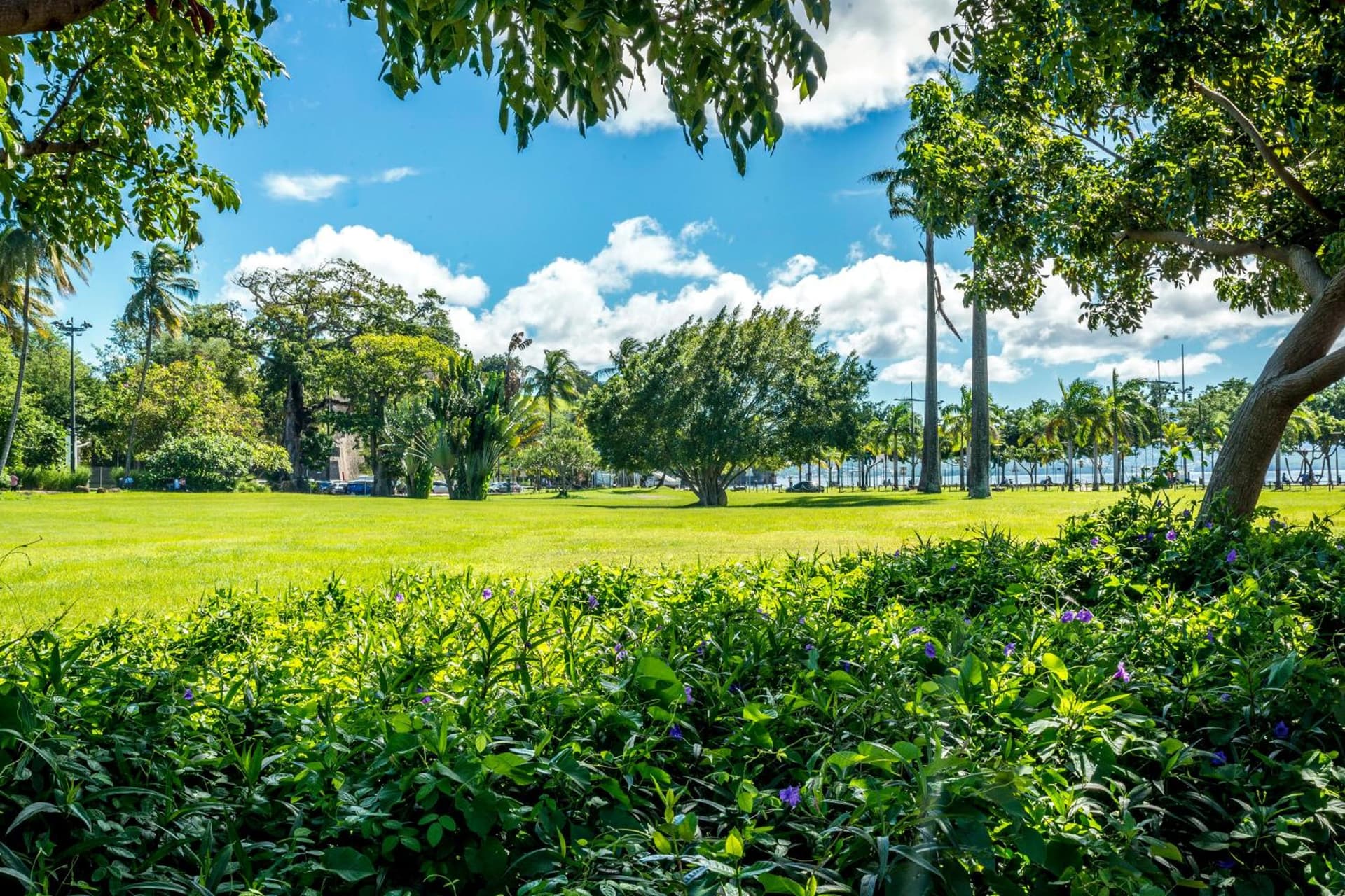 Residence Fort Savane - Photo 37