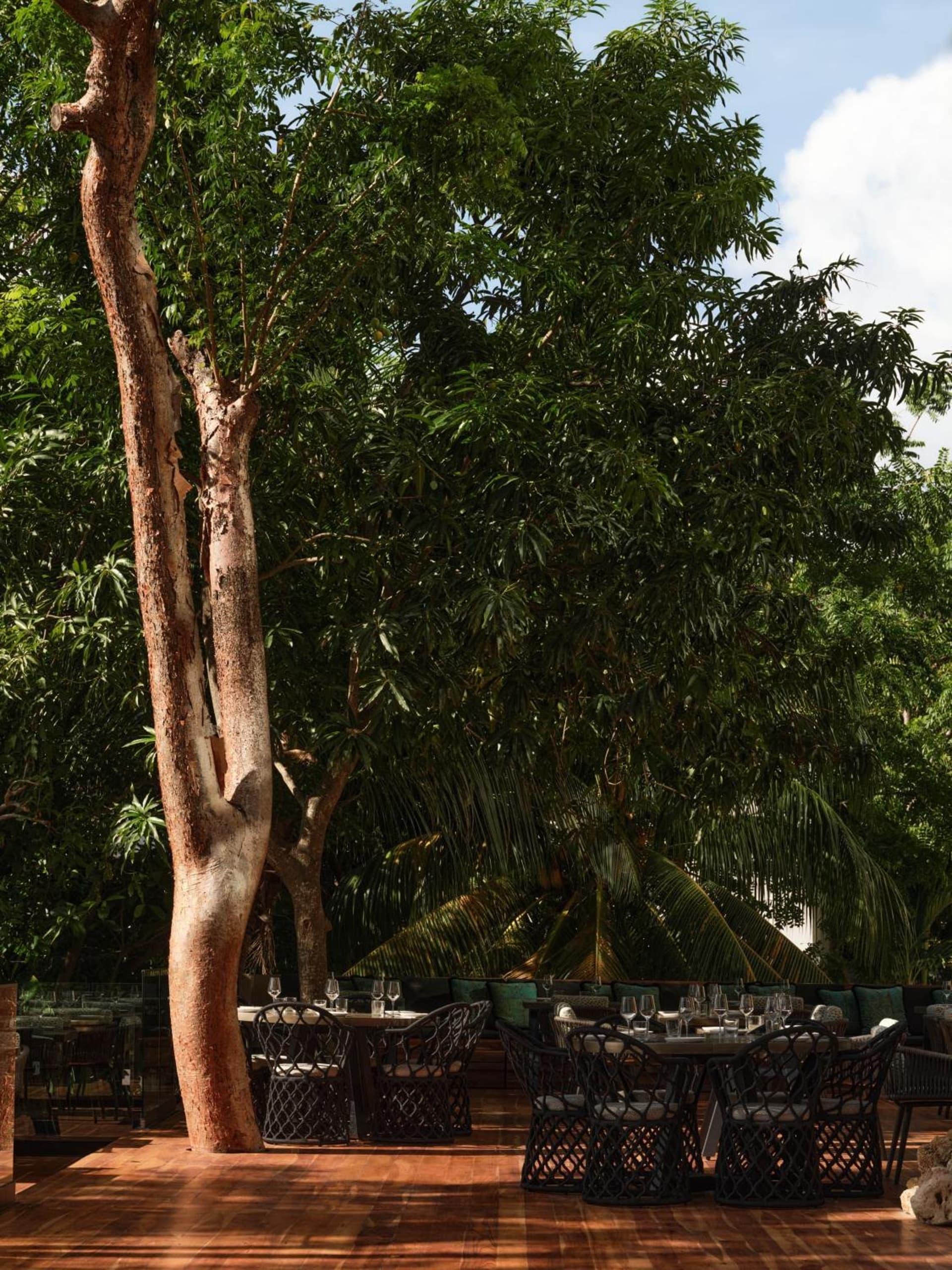 Kimpton - Grand Roatan Resort and Spa - Photo 87