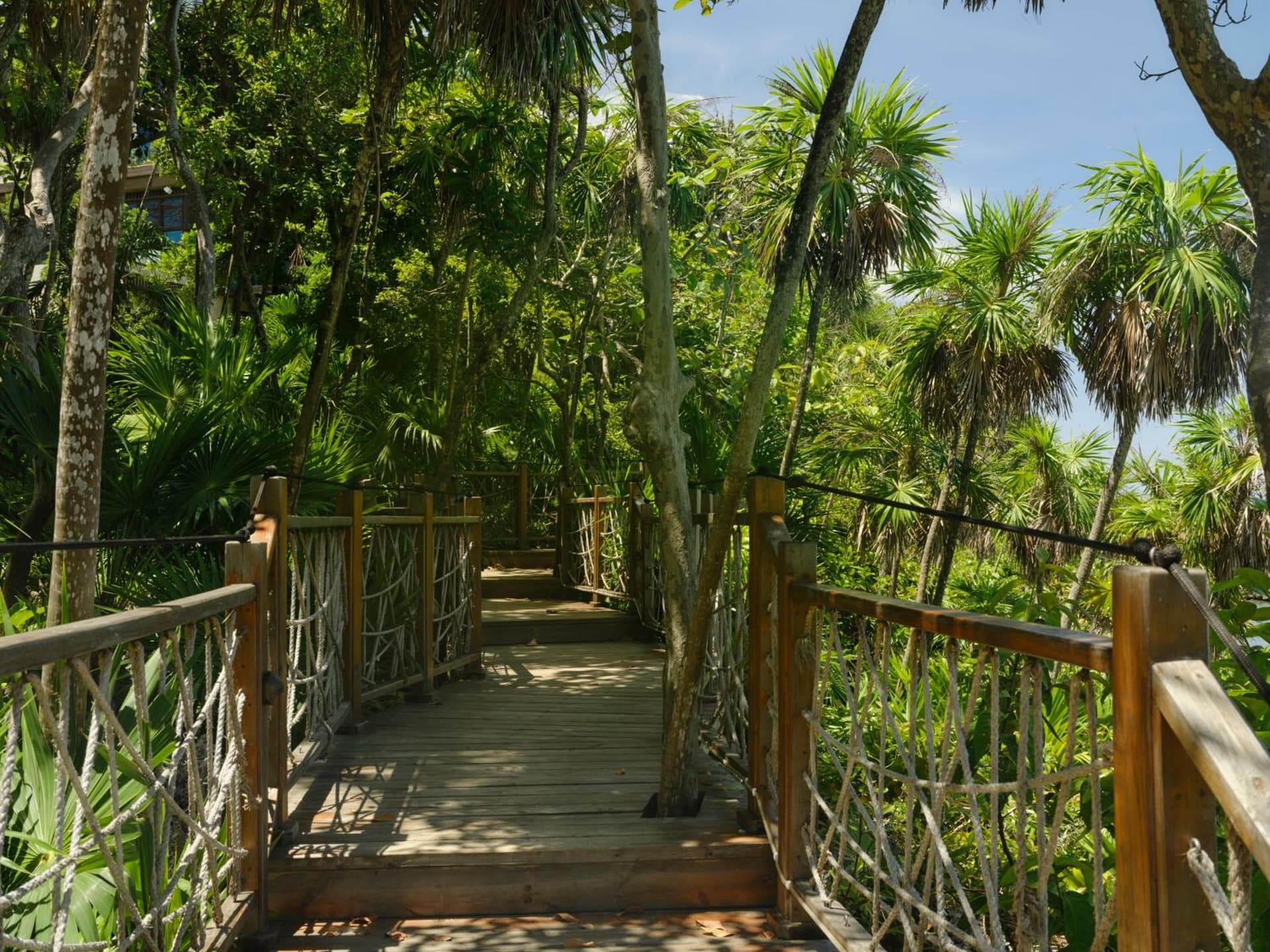 Kimpton - Grand Roatan Resort and Spa - Photo 40