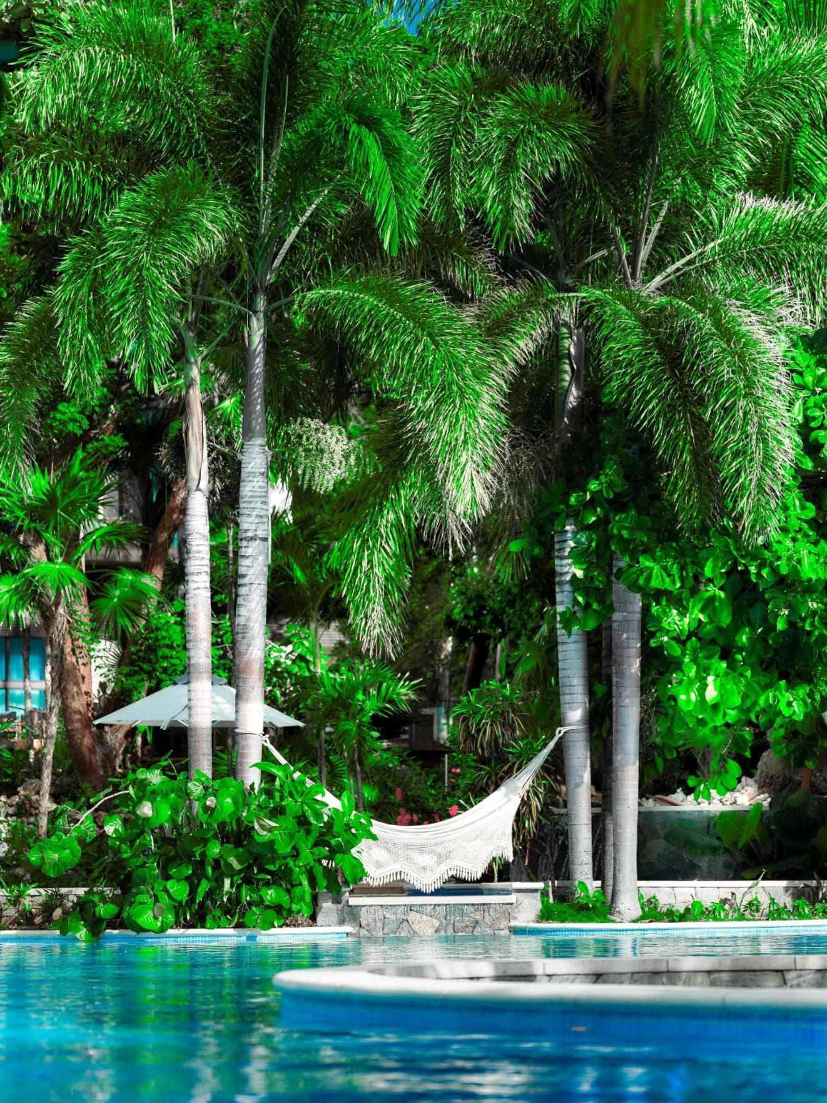 Kimpton - Grand Roatan Resort and Spa - Photo 72