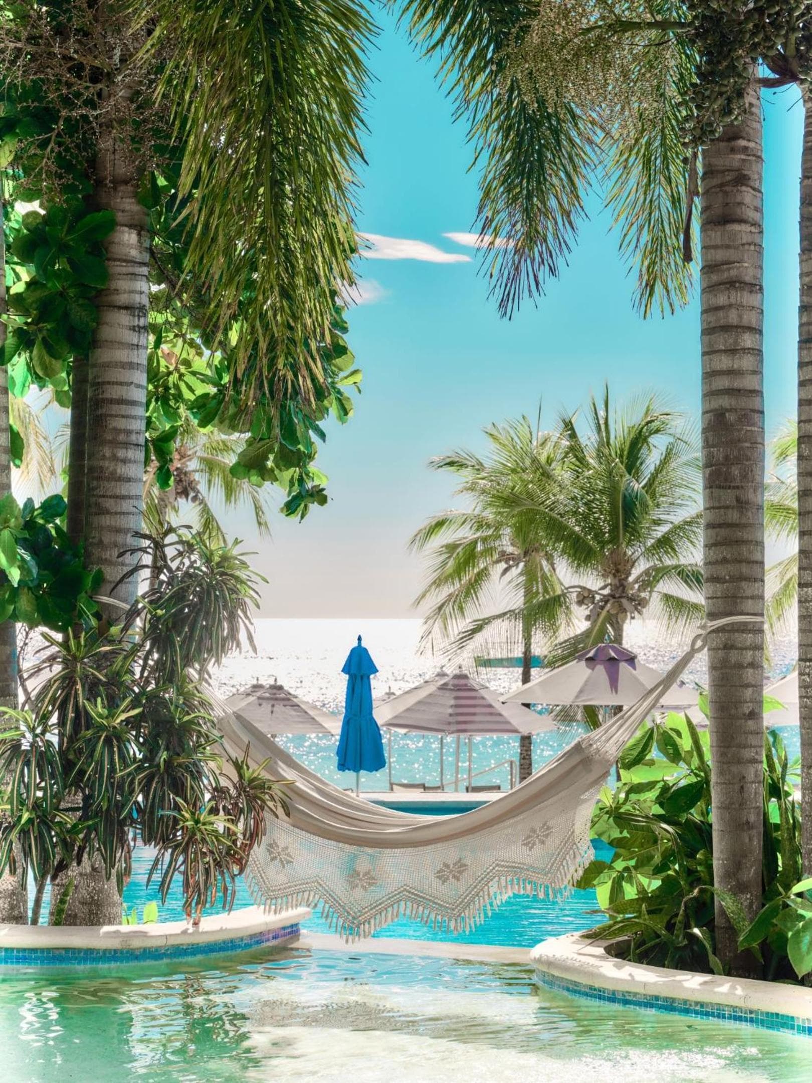 Kimpton - Grand Roatan Resort and Spa - Photo 81