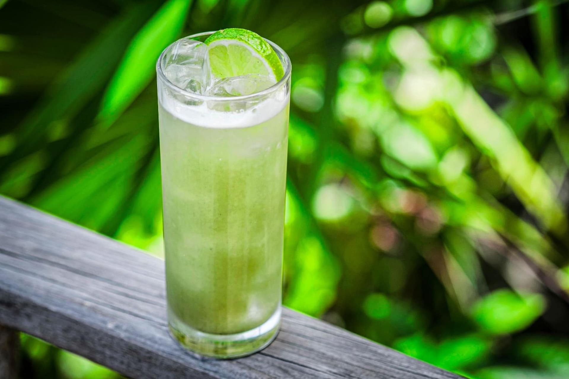 Kimpton - Grand Roatan Resort and Spa - Photo 131