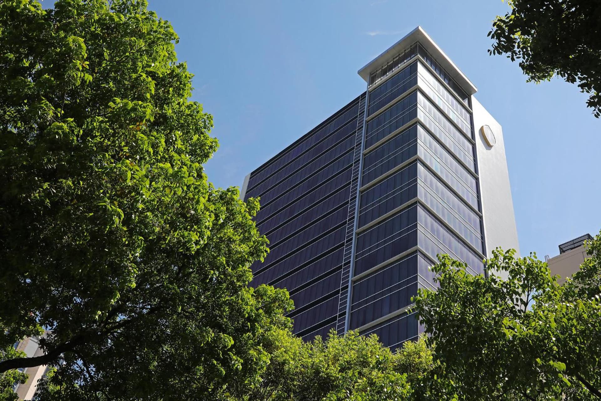 InterContinental Real Santo Domingo by IHG - Photo 227