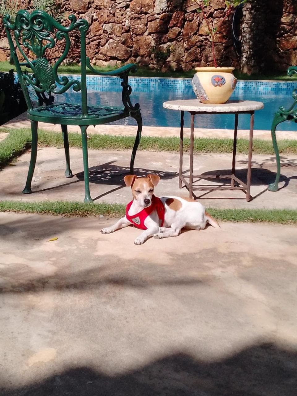 Playa El YAQUE Posada Yaque Sol, Isla de Margarita - Photo 120