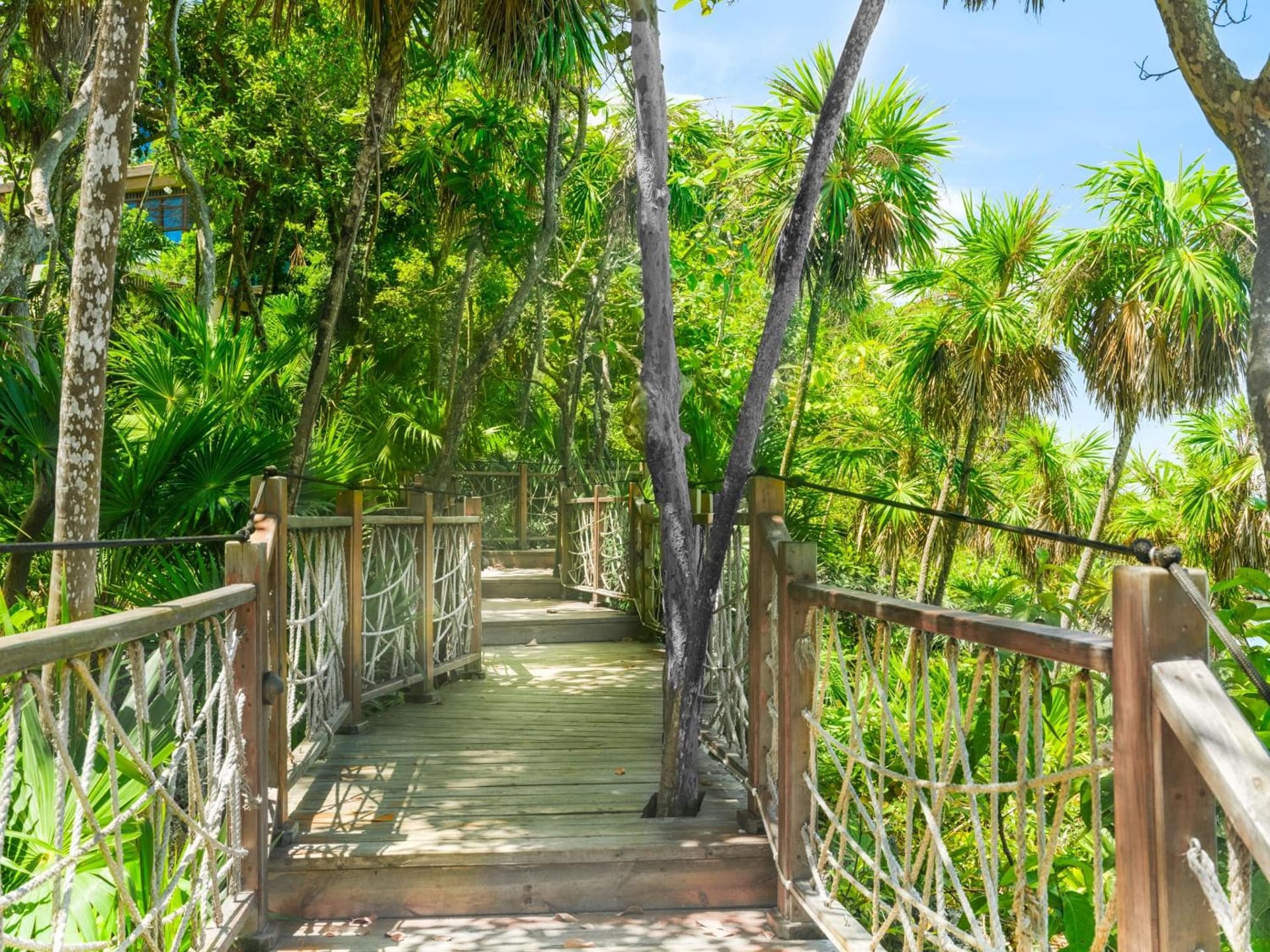 Kimpton - Grand Roatan Resort and Spa - Photo 278