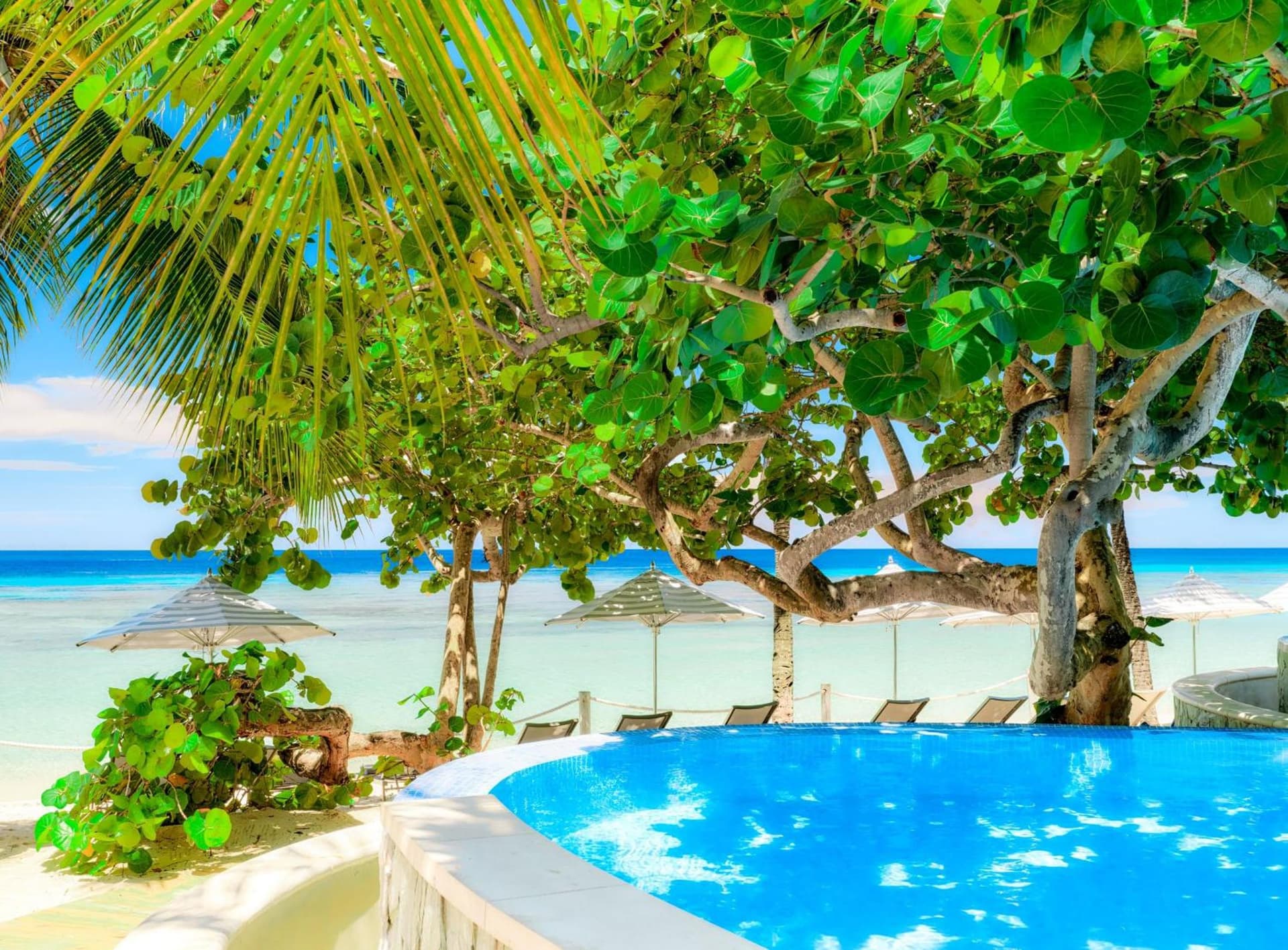 Kimpton - Grand Roatan Resort and Spa - Photo 284