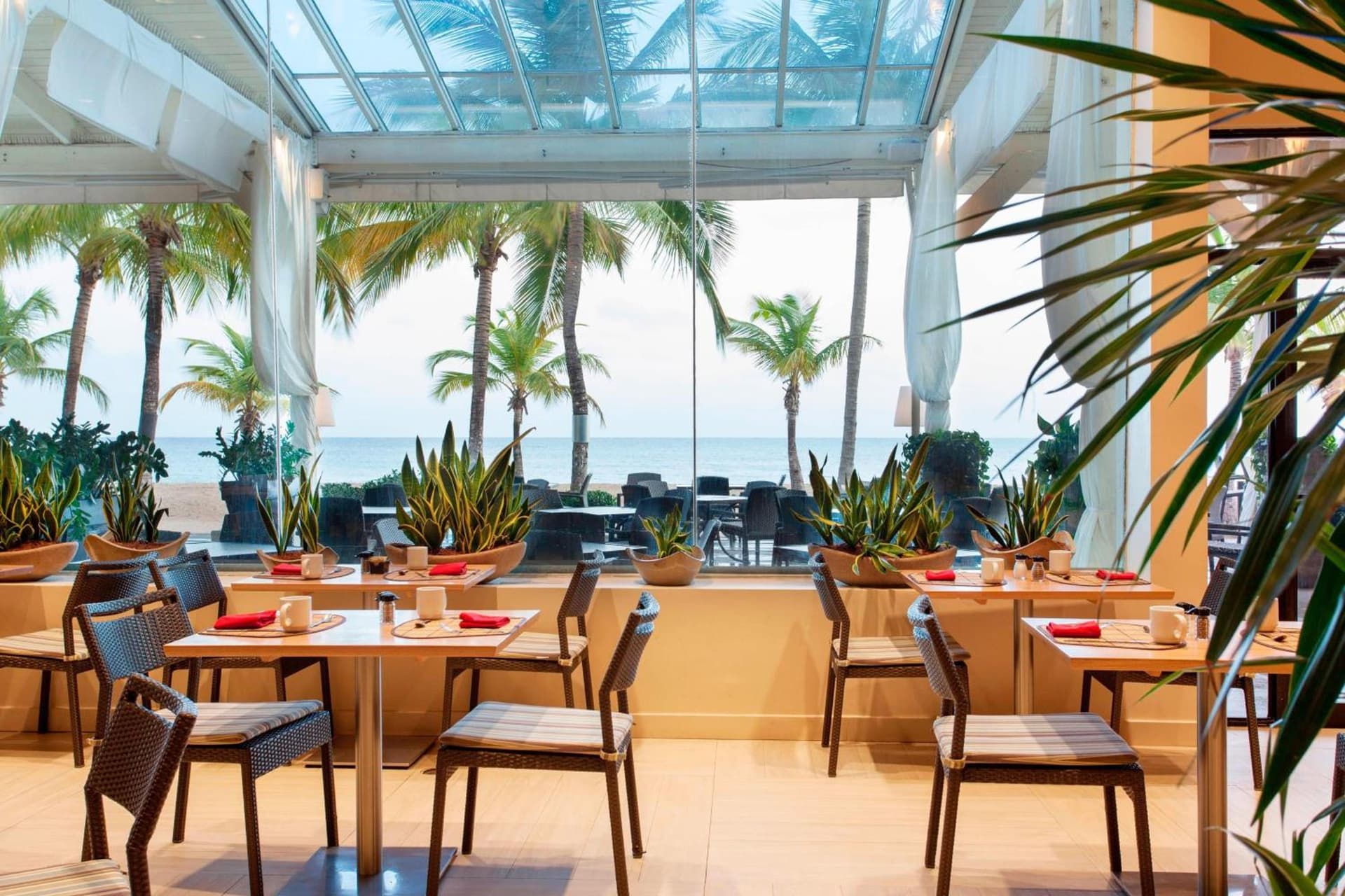 Courtyard by Marriott Isla Verde Beach Resort - Photo 87