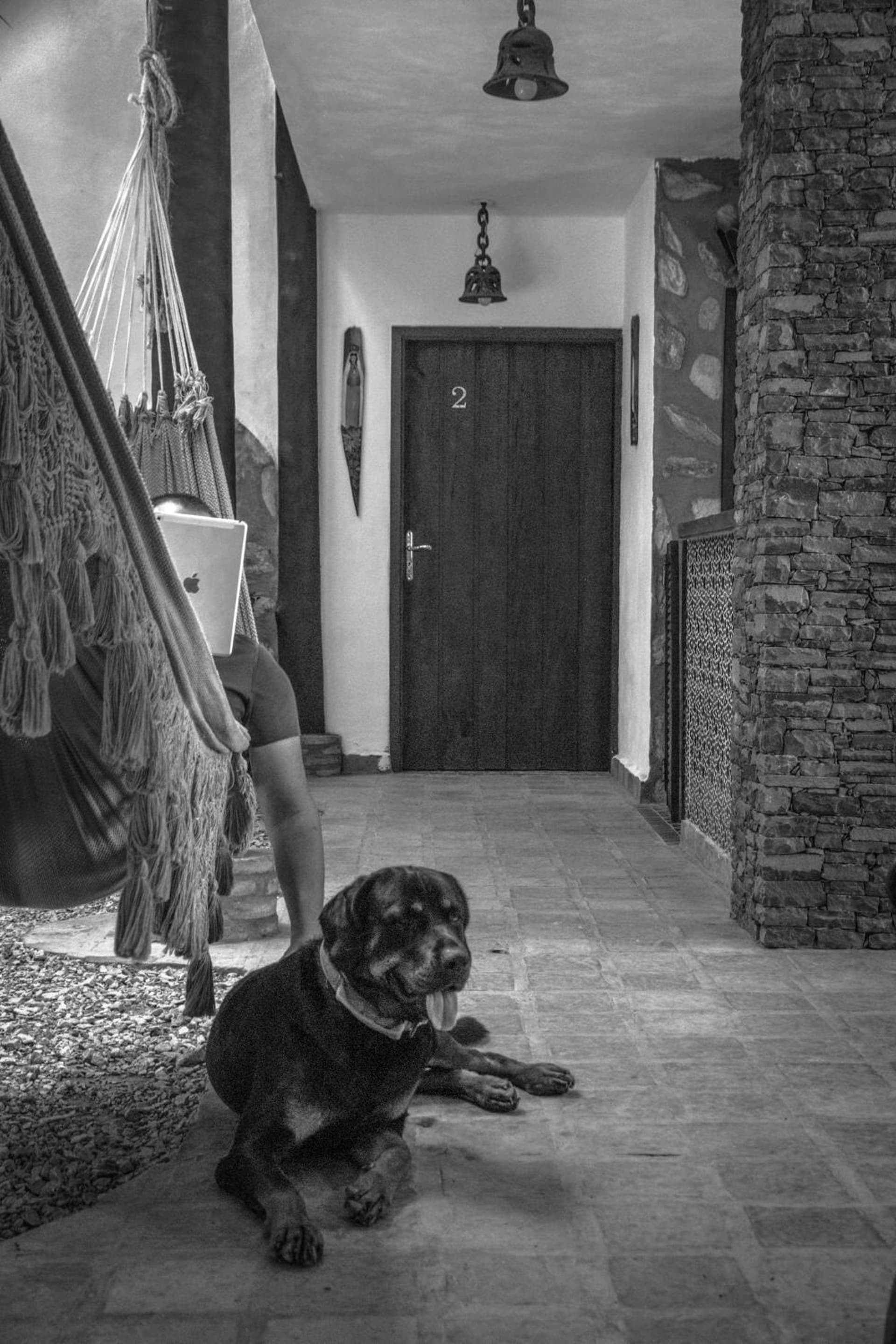 Playa El YAQUE Posada Yaque Sol, Isla de Margarita - Photo 122