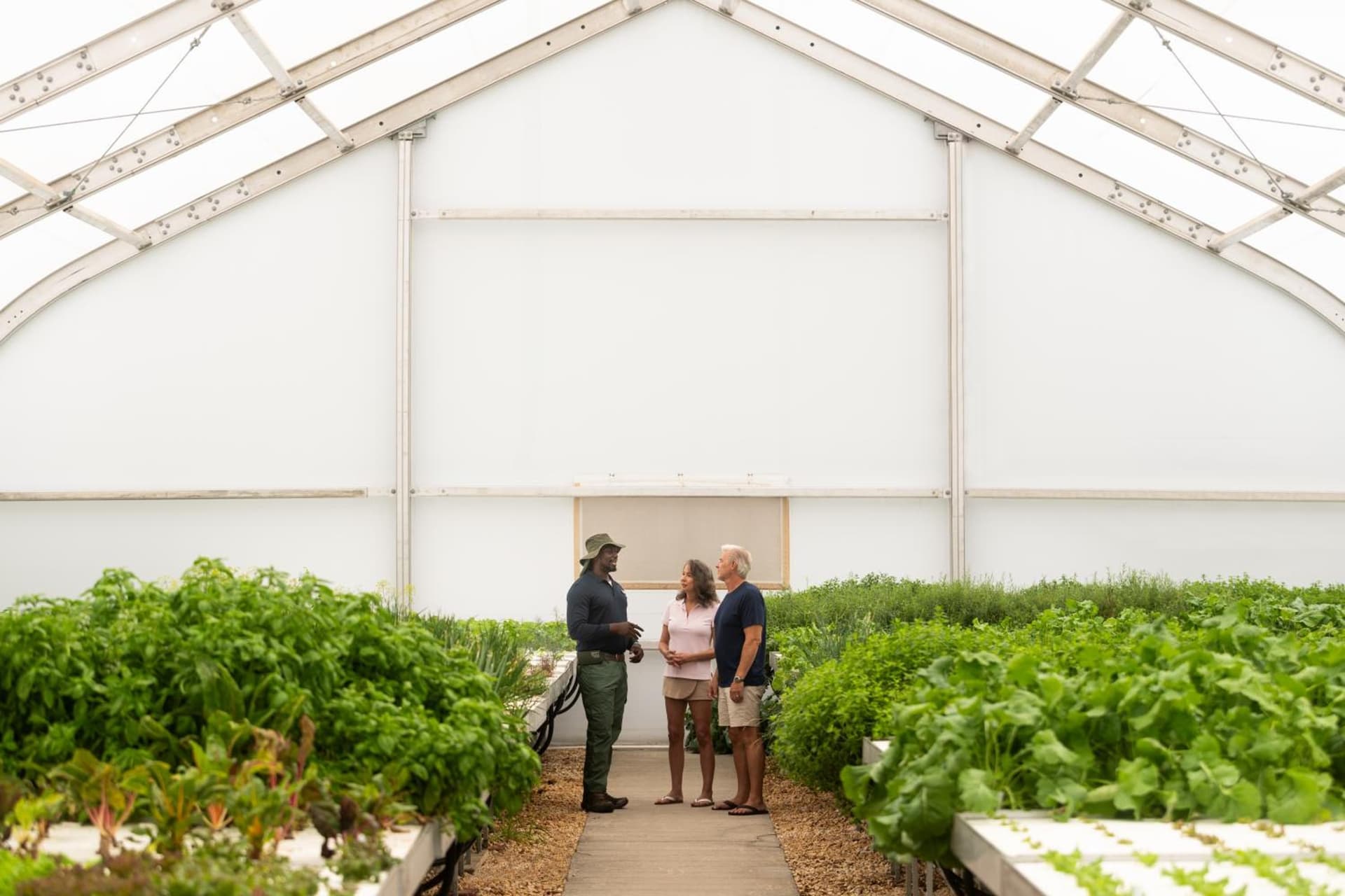 Aurora Anguilla Resort & Golf Club - Photo 116