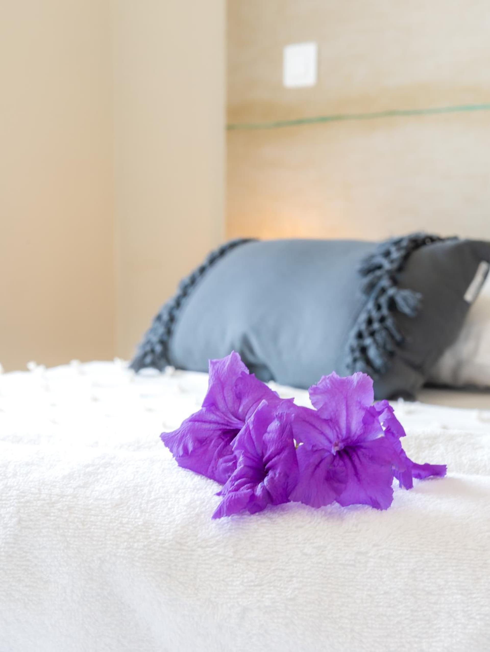 Hôtel Iloma - Photo 78