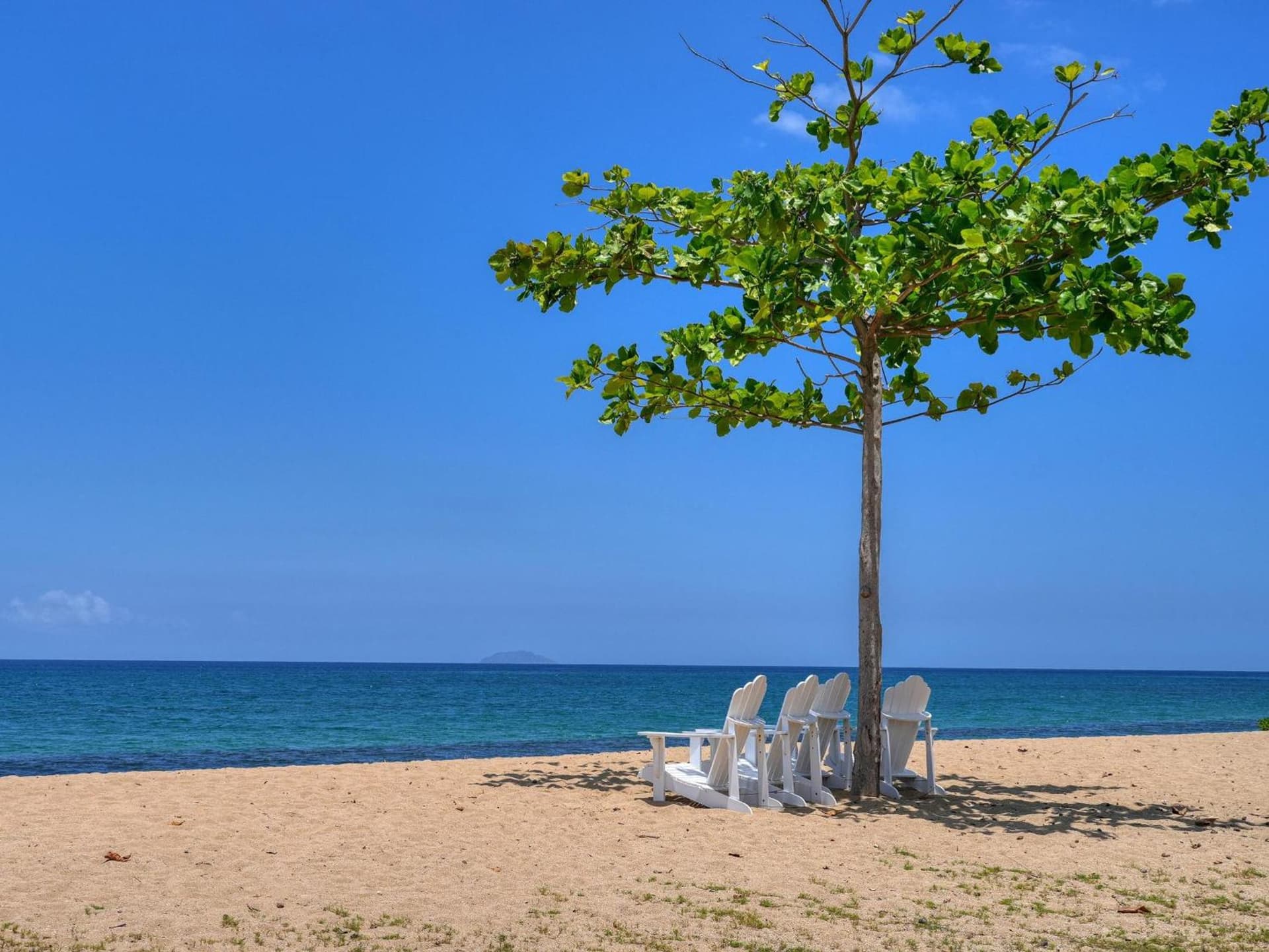 Rincon of the Seas Grand Caribbean Hotel - Photo 109