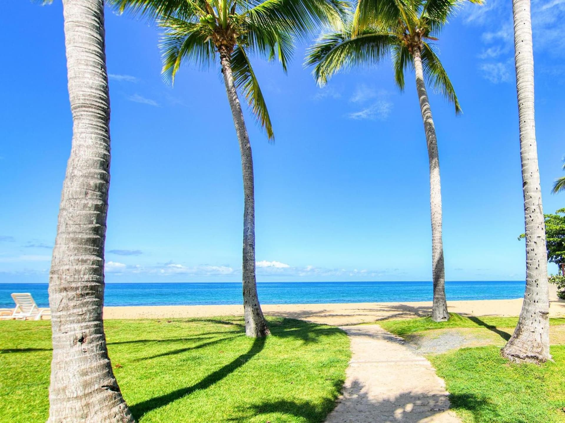 Rincon of the Seas Grand Caribbean Hotel - Photo 33