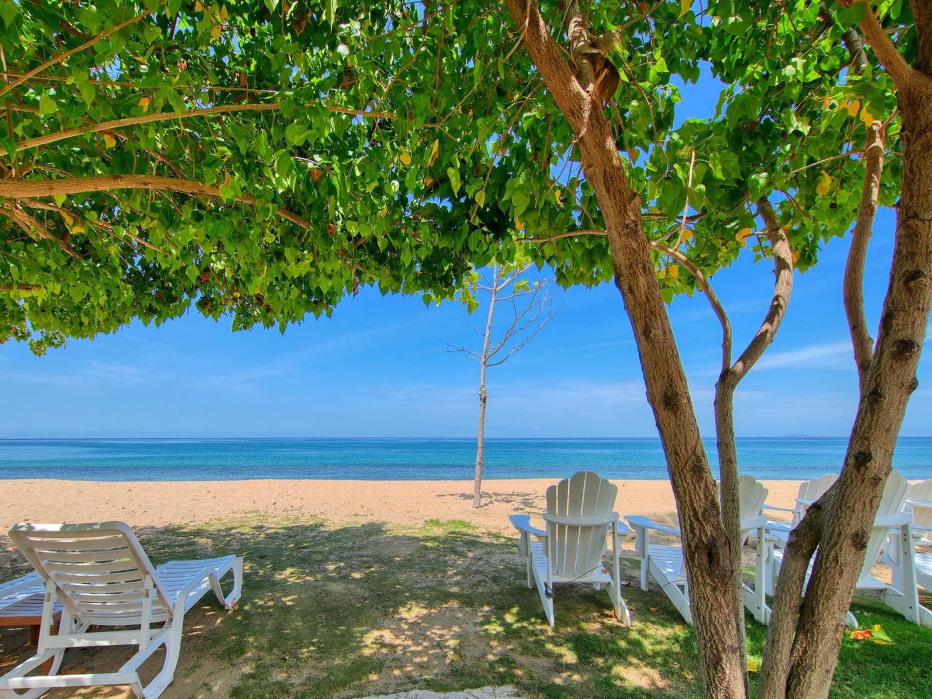 Rincon of the Seas Grand Caribbean Hotel - Photo 31