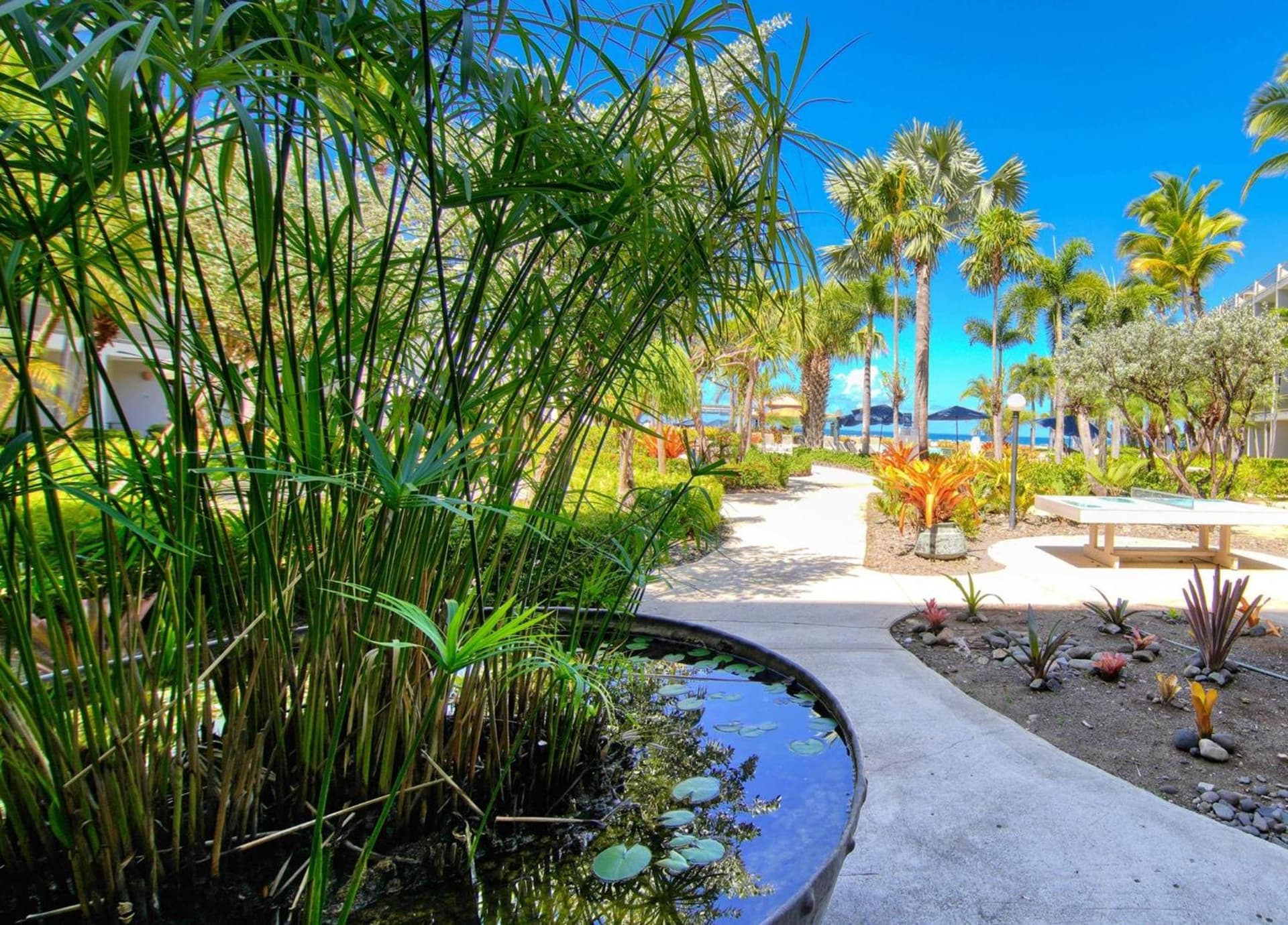 Rincon of the Seas Grand Caribbean Hotel - Photo 42