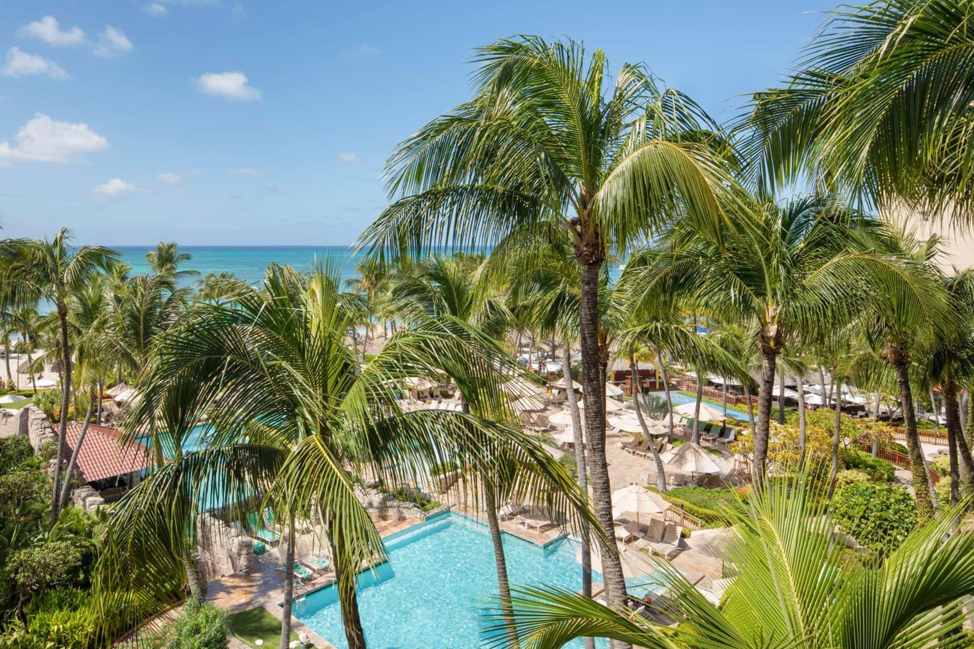 Hyatt Regency Aruba Resort & Casino - Photo 41