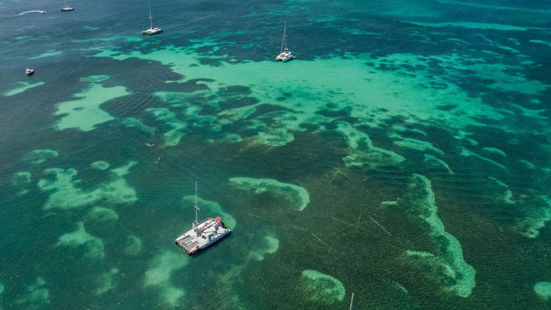 Hyatt Regency Aruba Resort & Casino - Photo 27