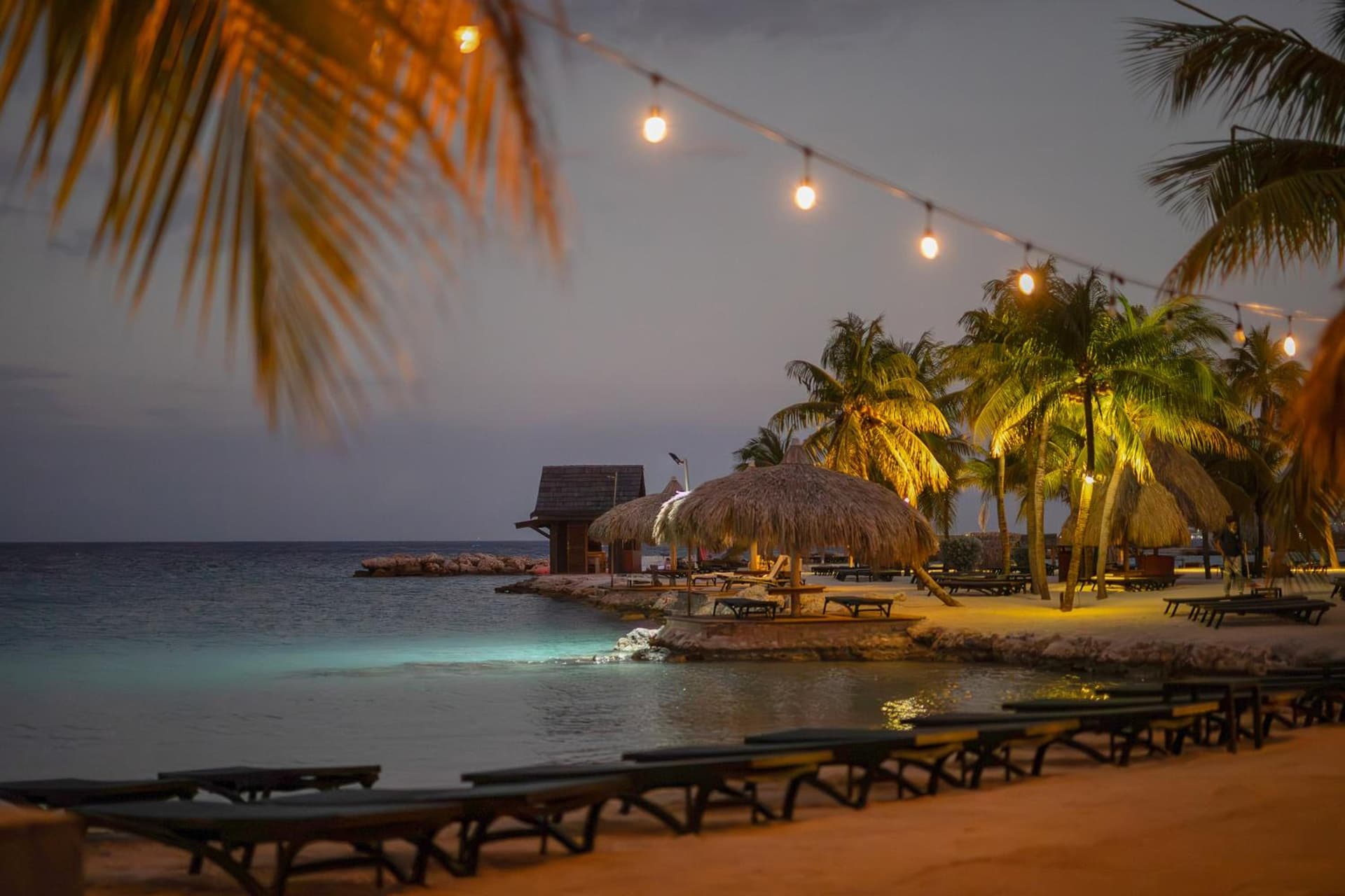 LionsDive Beach Resort - Photo 134