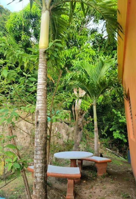 Seaview Guesthouse Apt #2 - Photo 3