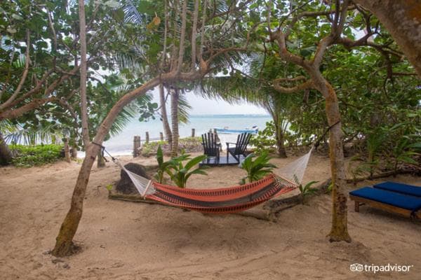 Little Corn Island Beach and Bungalow - Photo 79