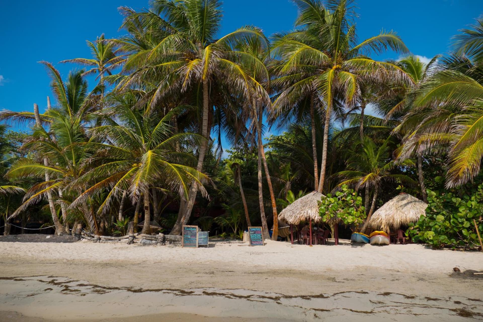 Little Corn Island Beach and Bungalow - Photo 58