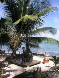 Little Corn Island Beach and Bungalow - Photo 77