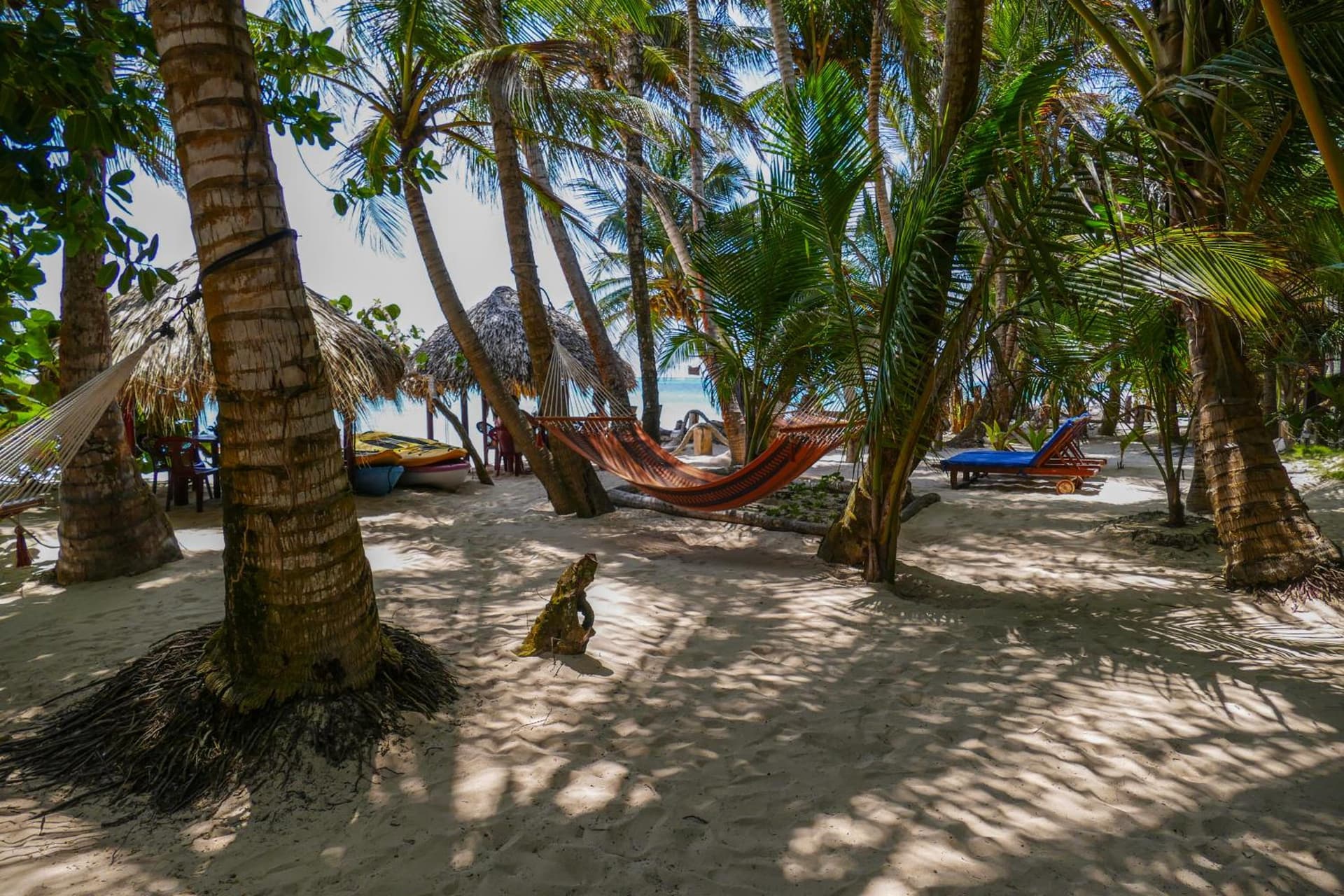 Little Corn Island Beach and Bungalow - Photo 87