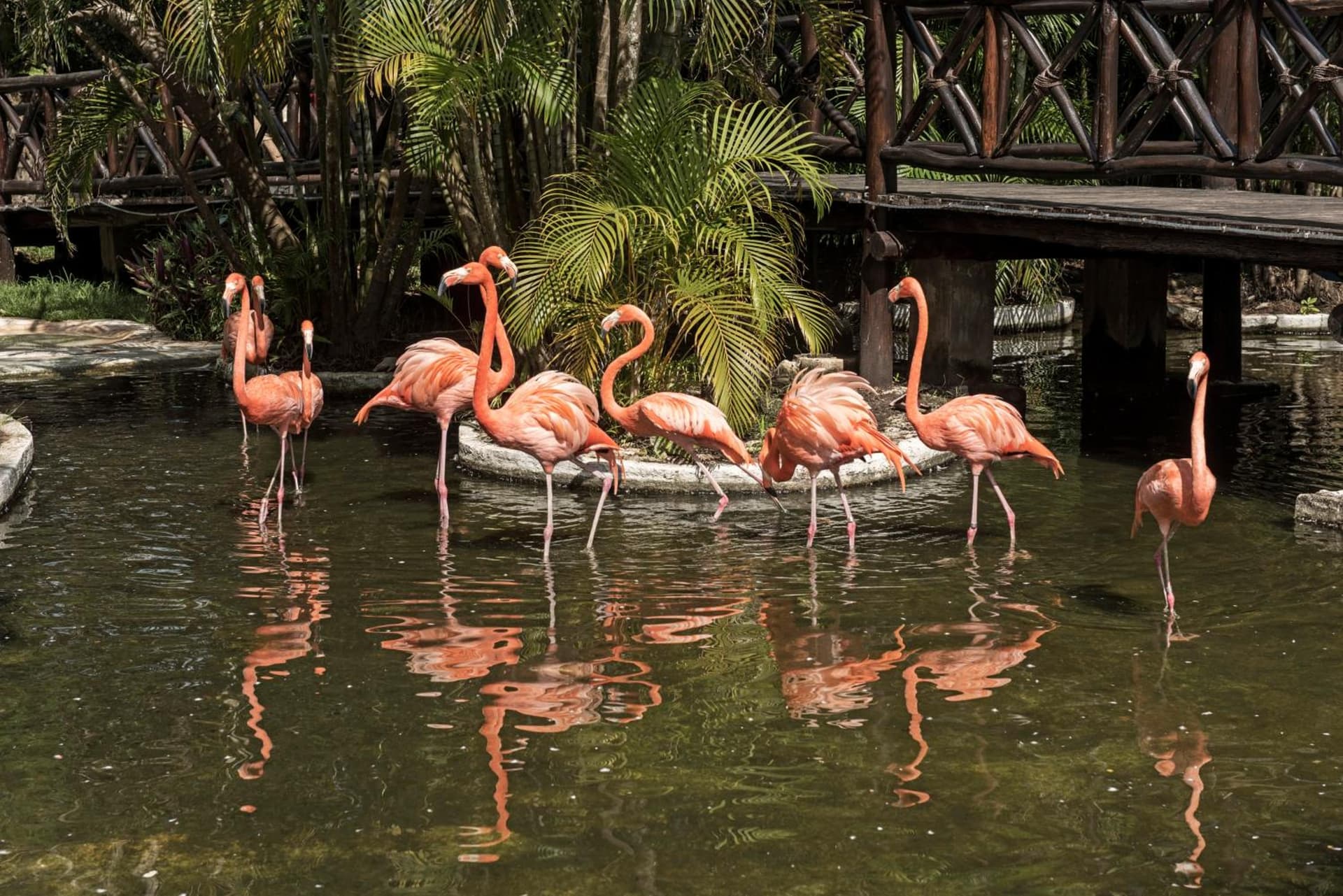 Iberostar Waves Cozumel - All Inclusive - Photo 11