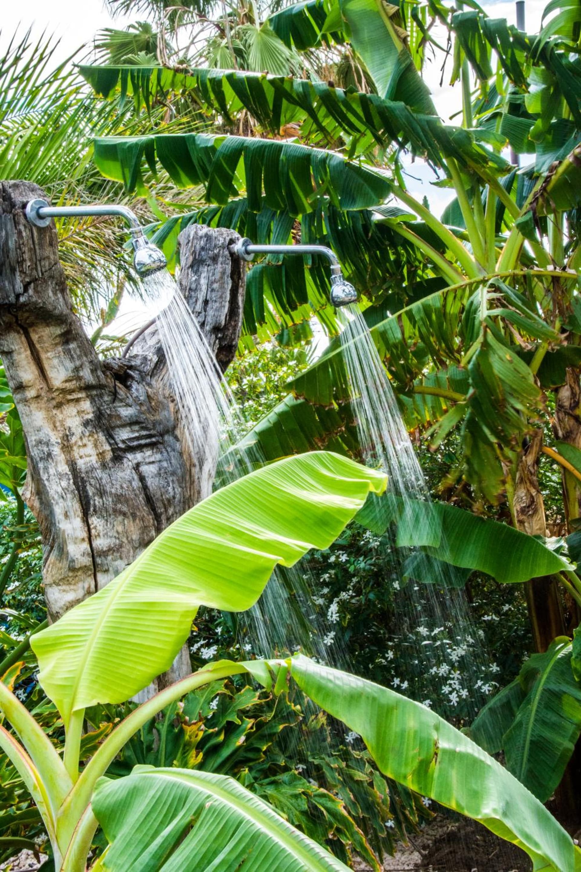 LionsDive Beach Resort - Photo 14